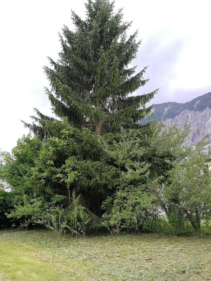 Sport'Hotel - Residence De Milan Le Bourg-d'Oisans Exterior photo